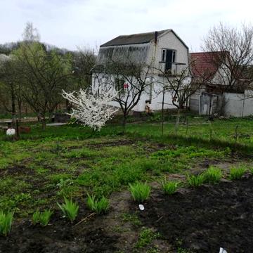 Продам дачу в Василькові