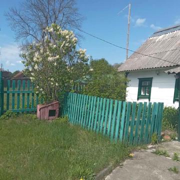 Будинок під дачу чи екоугіддя