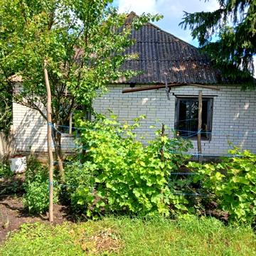 Продам дачу в селі Богданівка