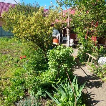 Продаж будинку в Хмельницькому