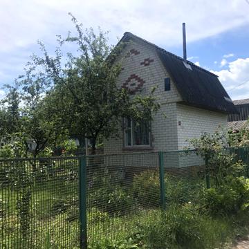 Абрикосова