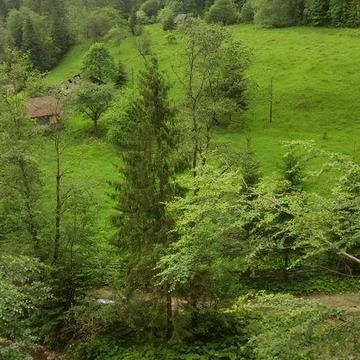 Продається земельна ділянка з будинком, чудовий варіант для відпочинку