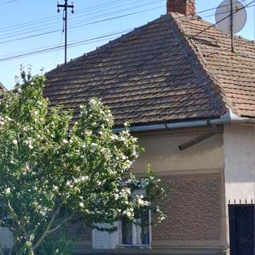 Берегово будинок 70кв. м, 10 соток