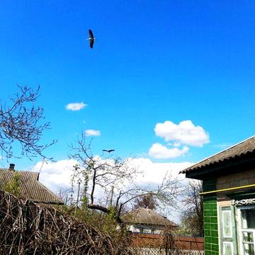 Будинок в екологічно--чистій зоні с.Гельмязів + 24,5 сот. землі.