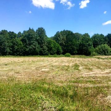 Продам Будинок село Катеринівка
