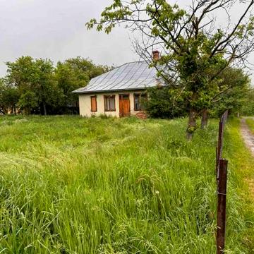 Житловий будинок з ділянкою.