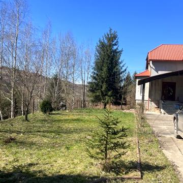Продається добротний будинок у горах Закарпаття у лісі