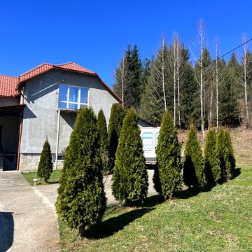 Продається добротний будинок у горах Закарпаття у лісі