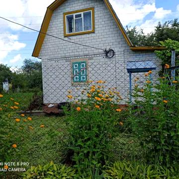 Продається дачний будинок в с.Хвилівка