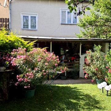 Берегове будинок 2 поверховий 220 кв.м.
