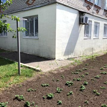 Квартира 4 комнаты,со всеми удобствами