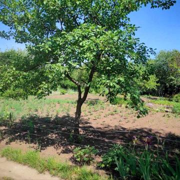 Продаж дачі на Подусівці