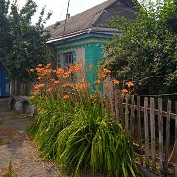 Продається будинок Черкаська область, Уманський район, с.Старі Бабани.