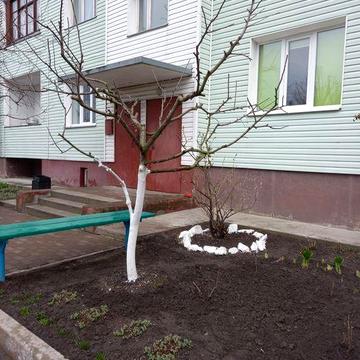 Квартира 2 кімнатна Бишів