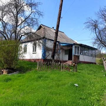 Будинок під лісом