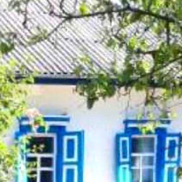 Продаж будинку в селі Горошине