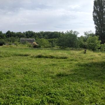Царичанська
