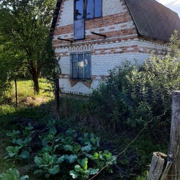 Продам дачу  в передмісті   Житомира