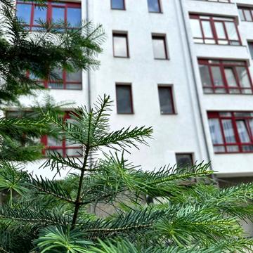 Галицька вул., 141б