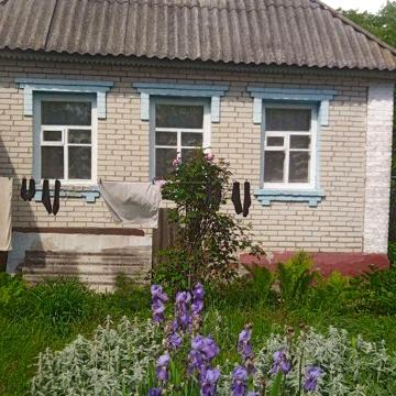 Продам полдома с приусадебным хозяйством практически даром