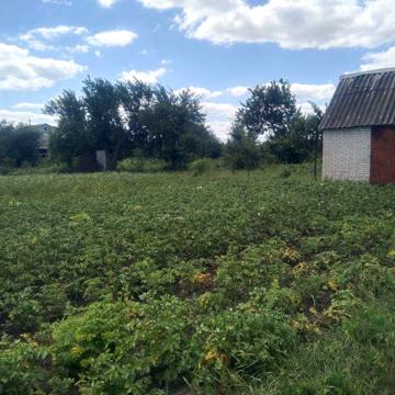 Дача в Степанівка..