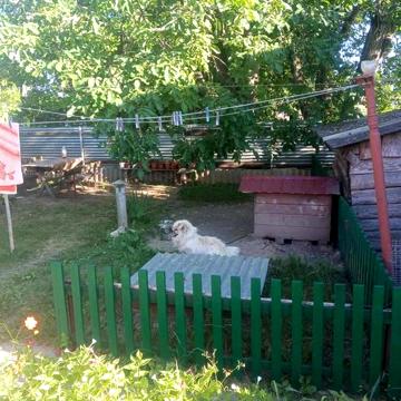 Продам будинок в центрі  селища Диканька