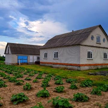 Продається будинок в селі Флорино Вінницької області