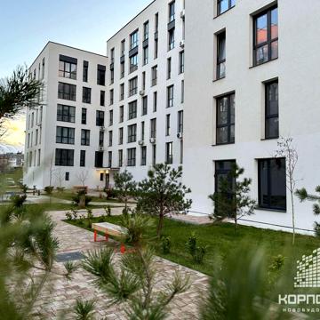 Волошина, 2