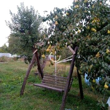 Продам будинок делянку
