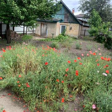 Продам приватний будинок