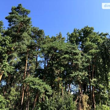 Довгострокова оренда 2к Квартира Соколовський 7-й провулок