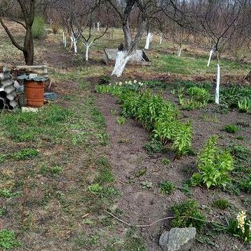 Дача с. Мала Березанка