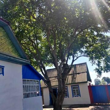 Продаж 2к Дім Житомирський район