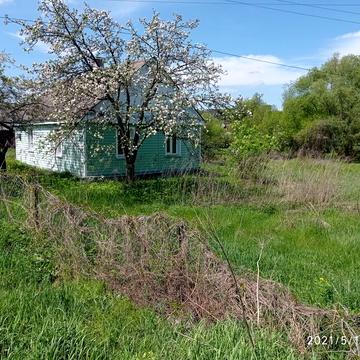 Будинок  10 соток Деревяний Дружба 65