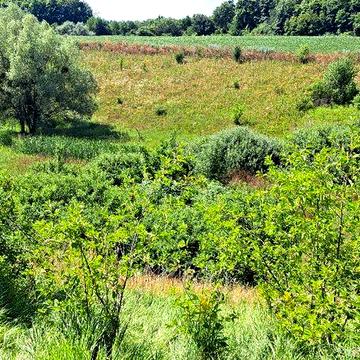 Продам старий будинок