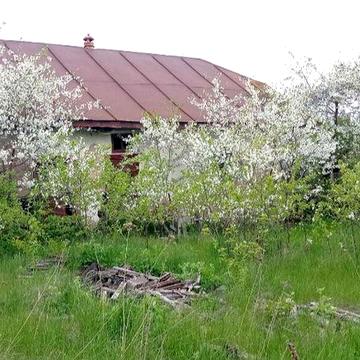 Продам будинок або як земельну ділянку