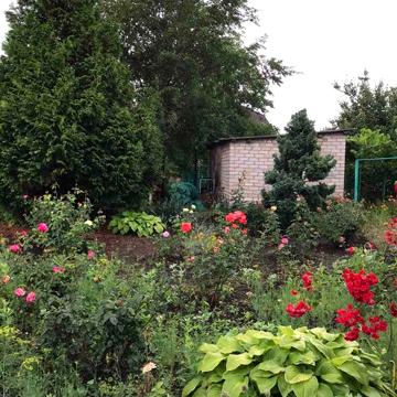 Продам дачу в відмінному стані з засадженим городом