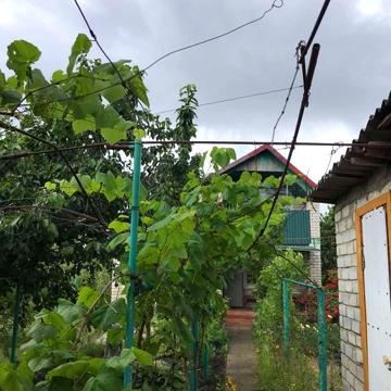 Продам дачу в відмінному стані з засадженим городом