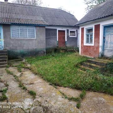 Будинок з великою земельною ділянкою