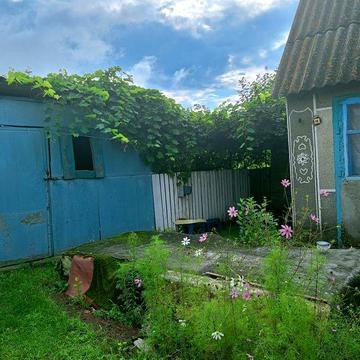 Продам будинок в с.Кривин загальна площа 38сот.