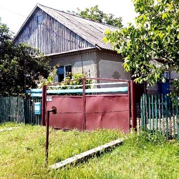 Продам дом в с.Палиево,