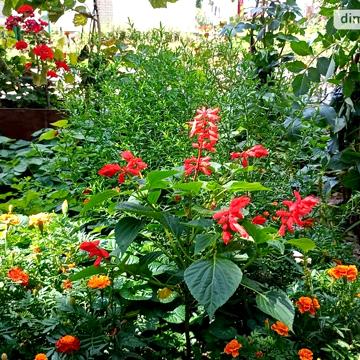 Продаж 1к Квартира Лучанська вулиця