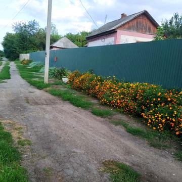 Дом с. Катеринка