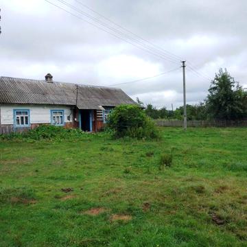 Великий деревяний будинок у селі Бузаки