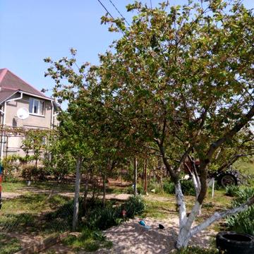 Продаж будинку  в Миколаєві