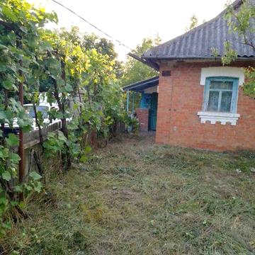 Будинок із земельною ділянкою