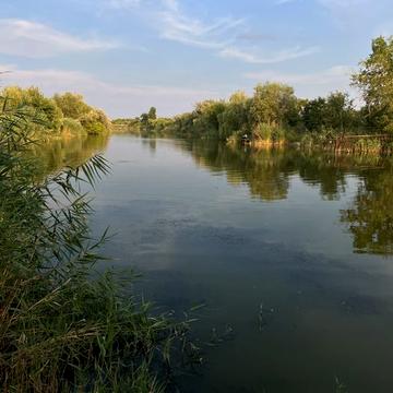 Продам дачу/ земельный участок в СТ «Строитель» (Ермолаевка)