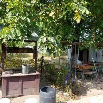 Продам или меняю дом в пгт Петриковка