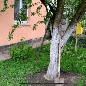 Дом с земельным участком