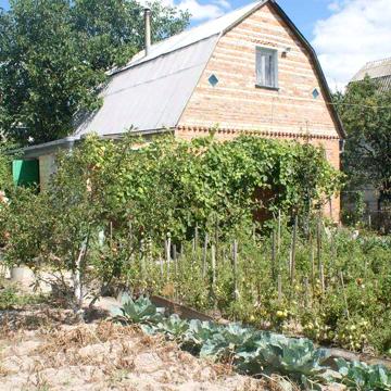 продаётся дача под Киевом ( Киевская , обл .Броворской р-н   с Мокрец)